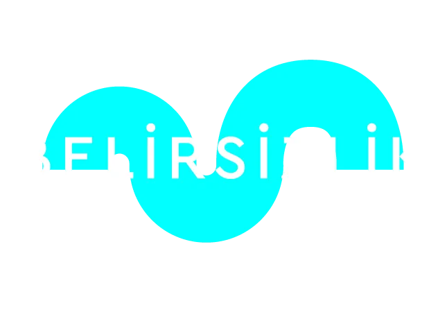 Belirsizlik1